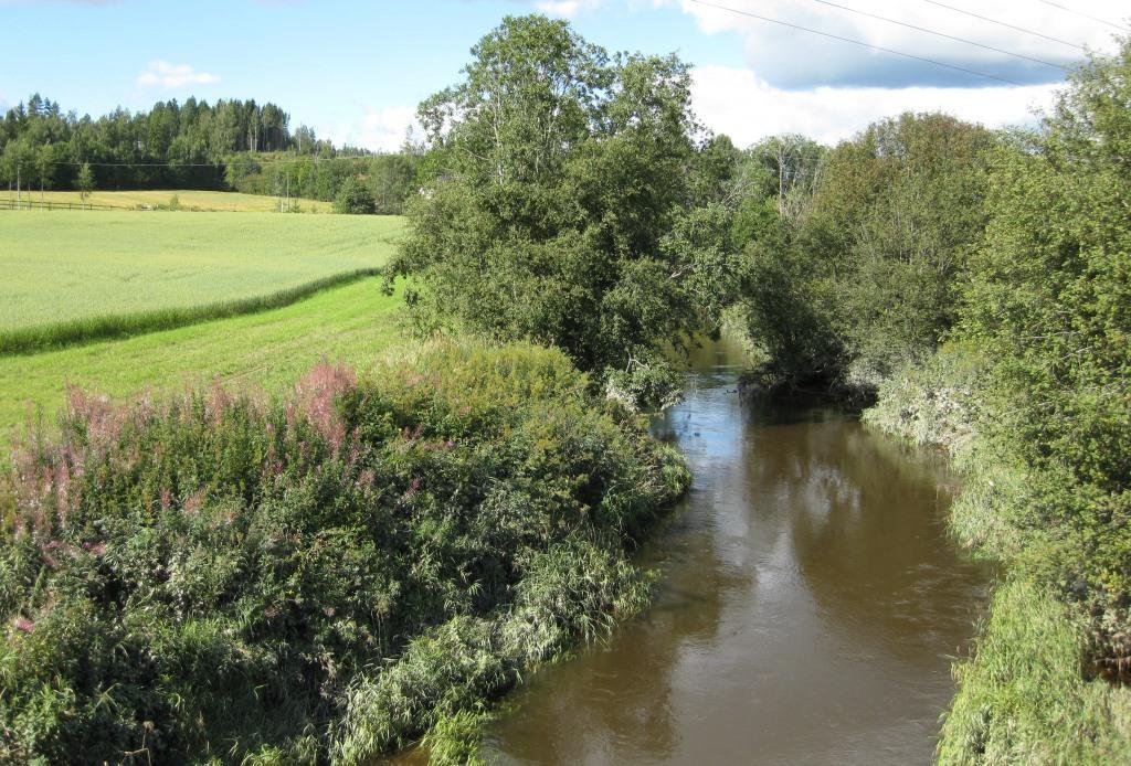 - Gjør vi de rette tiltakene på rett sted?