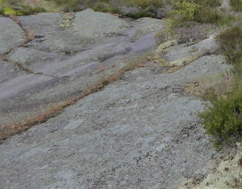 Naturlig åpen mark over skoggrensa 45 hovedtyper