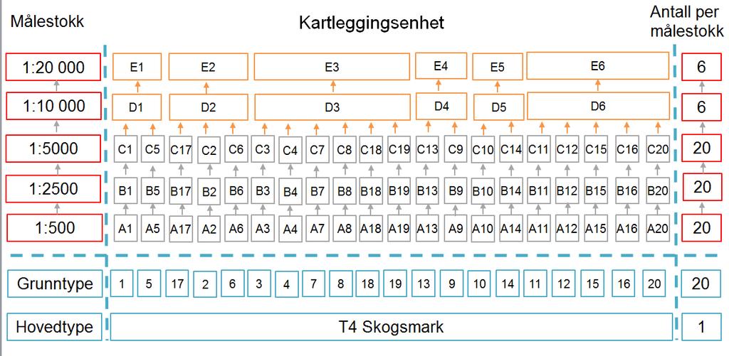 Grunntype vs.