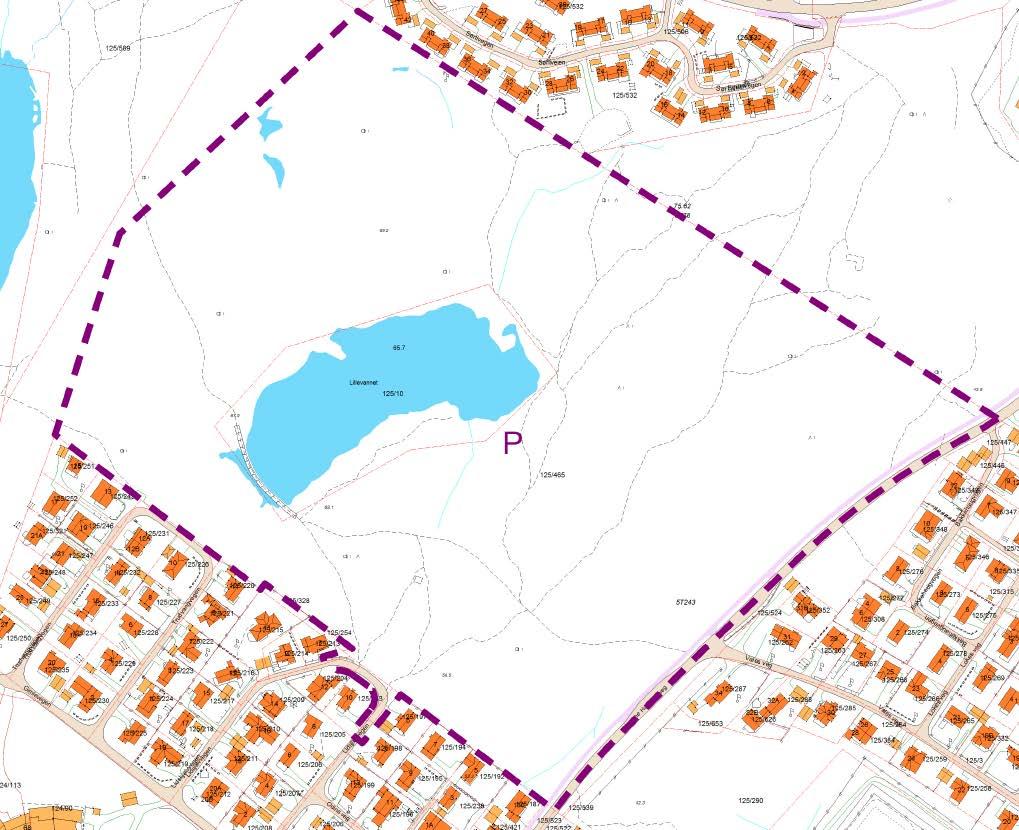 REGULERING MED KONSEKVENSUTREDNING FOR ISRENNA STUDENTBOLIGER GNR.