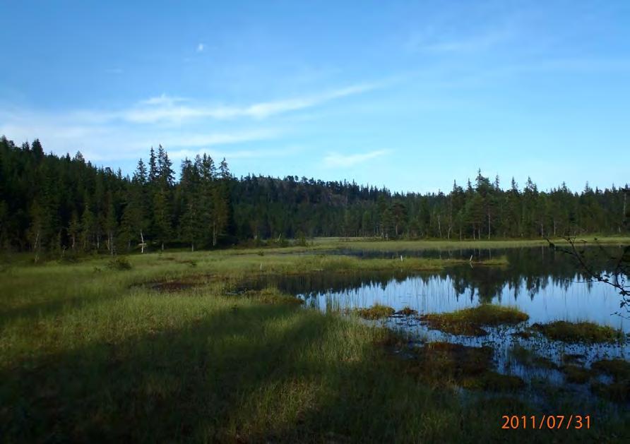 Gråbergtjern med Gråberget i bakgrunnen.