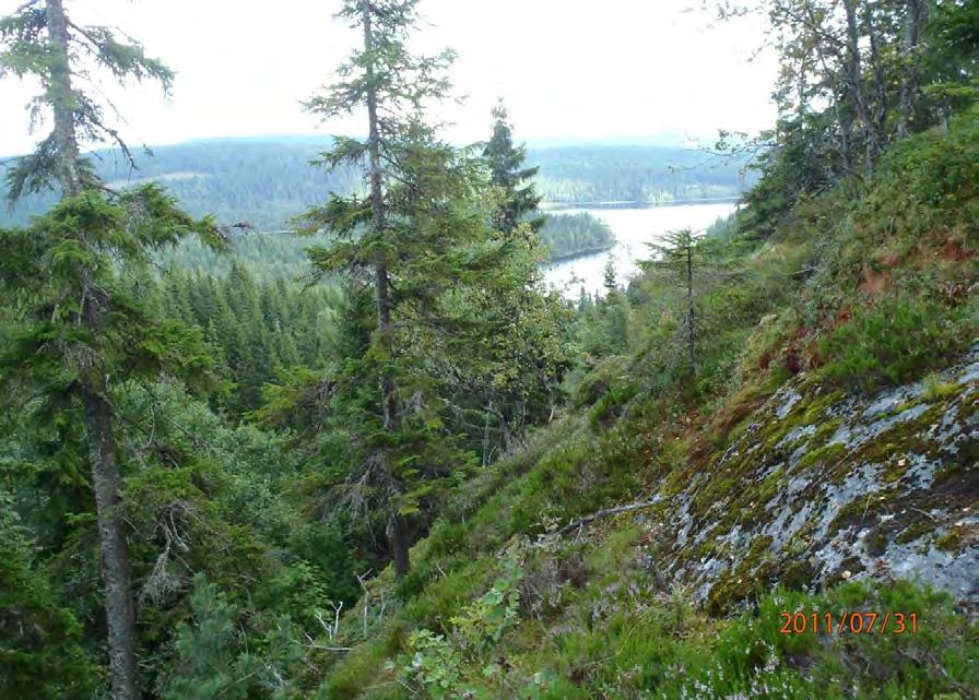 Østsida av Gråberget mot Skamrek.