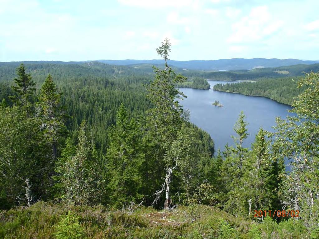 Kjerringkollen nordover mot N.