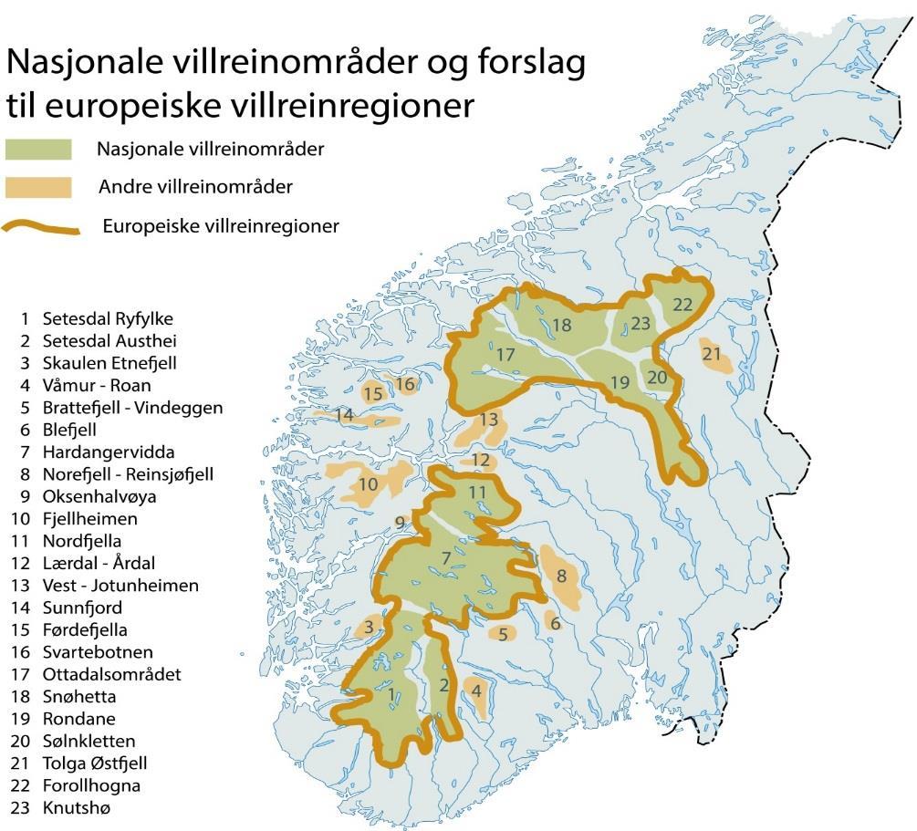 Flere fjellområdeplaner er utarbeidet etter oppdrag fra Miljøverndepartementet til fylkeskommunene, april 2007: Omfatter de viktigste villreinfjellene som ledd i å følge opp Norges internasjonale