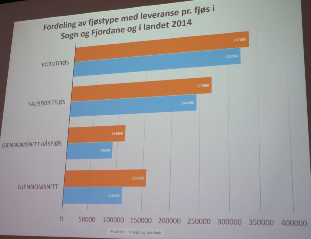 Stuktur: Gjennomsnitt båsfjøs i