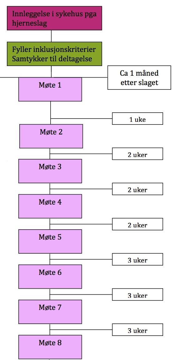 Prosessen 8 individuelle møter á 1 time mellom slagrammet og opplært personell Hjemme hos deltageren eller der han/hun er (rehabinstitusjon) Foregår i tidsrommet 1-6