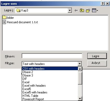 skjermen. Lagre som - lagre listen i ulike formater (for eksempel regneark, HTML, tekst etc.) for eventuelt å skrive den ut senere.