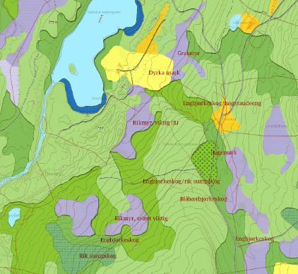 Vegetasjonskart og naturtypekart Det foreligger både vegetasjonskart og naturtypekart for området.