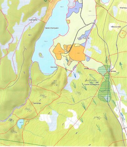 Seterdrift og utmarksbeite Omsøkte teig for nydyrking grenser i nord mot Åsvollen, som er ei seter i drift med melkeproduksjon. Setervollen tilhører garden Åsen med GID 131/15 i Dalsbygda.