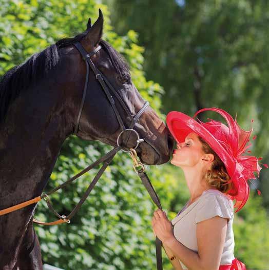 Damenes aften 29. juni kl. 18 Kvelden arrangeres i samarbeid med Thea Steens Minnefond og Kreftforeningen. Det blir spennende løp med Norsk 1000 og 2000 Guineas som kveldens høydepunkter.