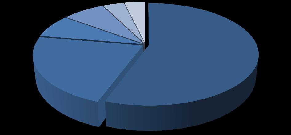 Sjøfartsdirektoratets tall viser at de fleste omkommer i forbindelse med bruk av åpen motorbåt. Slik har det vært så langt tilbake som statistikken viser.