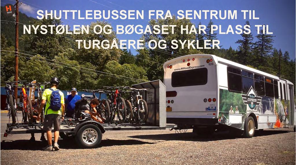 Buss fra Nesbyen stasjon via