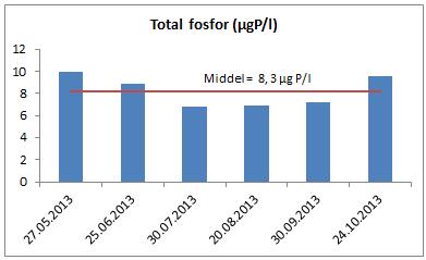 Hvis man ser på konduktiviteten i vertikalserien tatt om vinteren 2013, se Tabell 10, ser man at konduktiviteten er noenlunde ens fra overflaten og ned til 6 m dyp med verdi på ca 7,8 ms/m, hvoretter