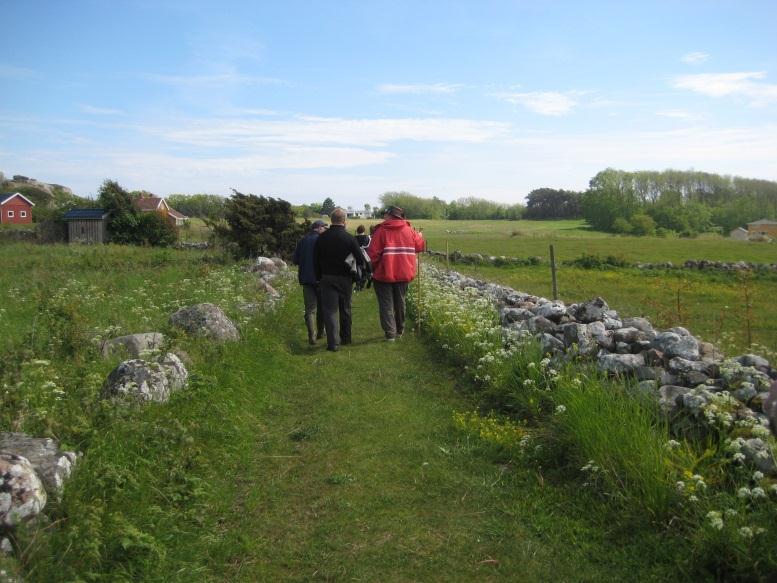 eier Sandø Gård - deltidsansatt gårdsbestyrer Arne Linnestad Skjøtsel