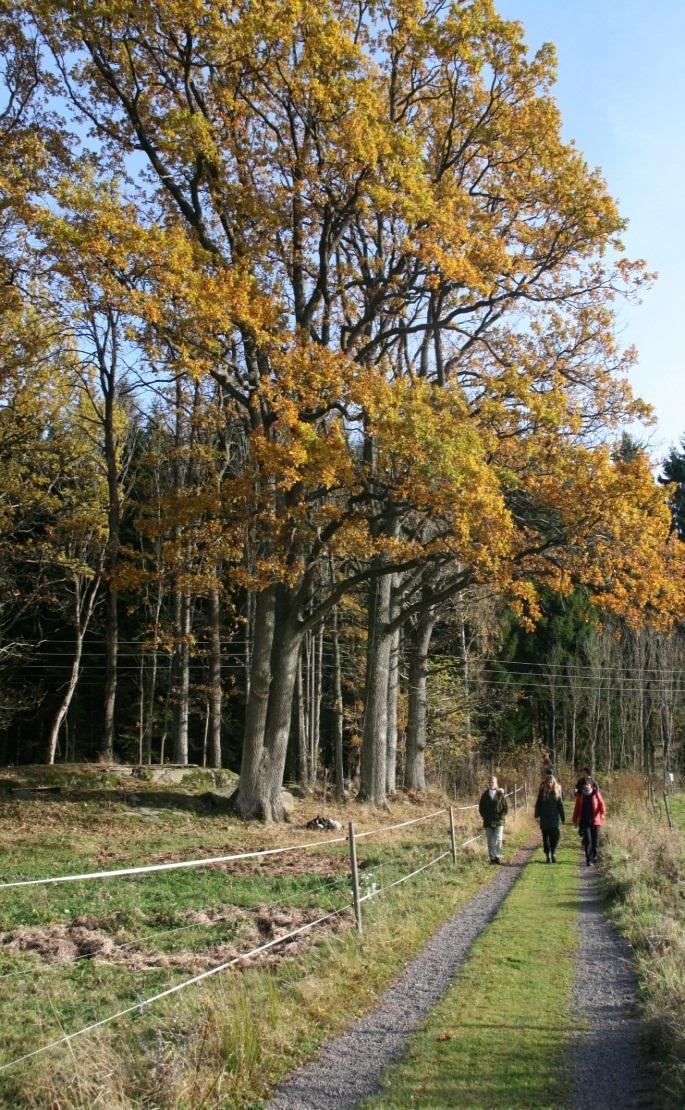 Tildelte midler og aktører - UKL Vestfold: Tiltakshavere 2014: Bjerkø Gård Søndre Årø Gård Søndre Årø Sameie Jarlsberg Hovedgård Sandø Vel Arne Linnestad (Sandø Gård) Hauan Gård / Preben Fossaas