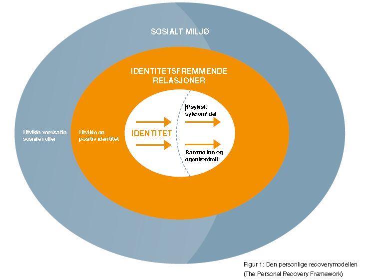 Recoveryoppgavene Utvikle en positiv identitet Ramme inn den