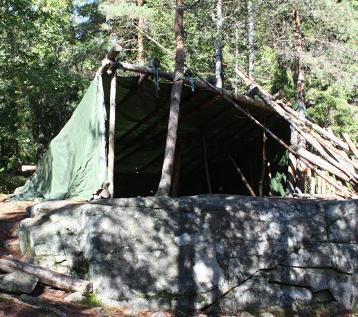 Byggene er hevet fra bakken og varsom mot røtter og natur som er der.