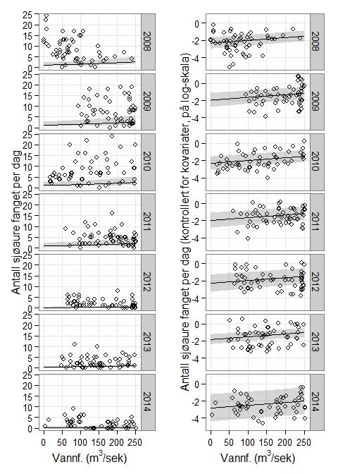 Figur 11. Effekten av produksjonsvannføring i Langvatn kraftverk på dagsfangst av sjøaure (heltrukke linje, med 95 % konfidensintervall i grå).