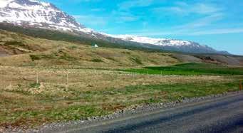 Zeólítar eru oft geislaeða nálalaga og er þeim skipt í flokka eftir útliti þeirra; geislazeólítar eða geislasteinar, blaðzeólítar Geislasteinar. og teningszeólítar.