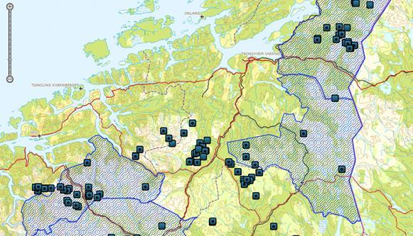 Hvis en i tillegg ser på hvor en har registrert de største tapene av beitedyr til jerv i Sør- Trøndelag så er dette i stor grad utenfor forvaltningssonen for jerv.