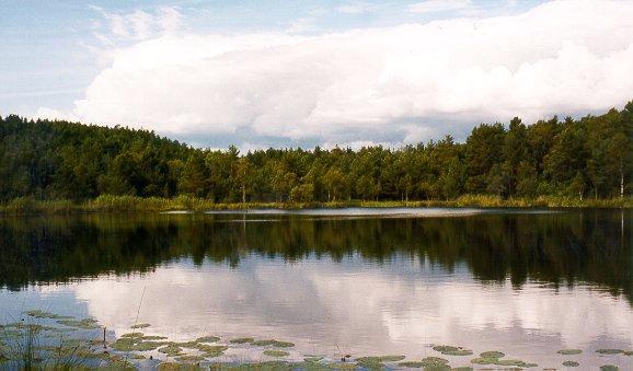 Dam nr. 13, Holmen nord ( Meget stor verdi, ikke truet ) Myrtjern, ca. 8000 m 2, vannfargen er brun. Dammen har karakter av urørthet. Ingen inngrep eller forurensning truer dammen.