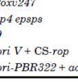 Det rekombinant DNA- fragment