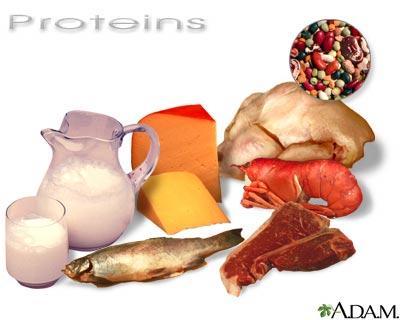 http://ndla.no/nb/node/16749?fag=7 Protein Proteiner (fra greske protos: den første) er en type molekyler som finnes i alle levende organismer, og er en av de grunnleggende bestanddelene for alt liv.