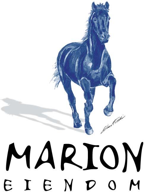 no www.marion-eiendom.