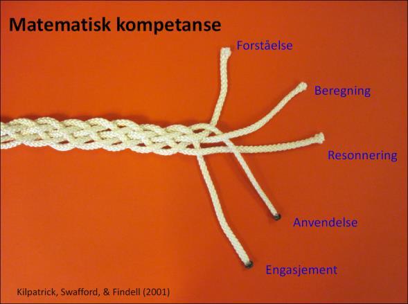 tid=2049135 Gevinster med å se kompetanse i sammenheng Blir (evt. hvordan) blir læringen forsterket? Blir sammenhenger forsterket?