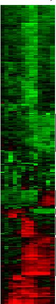 , most ing ingle tip sists of nally xtract mages, it tely of each of ming this lify and ess. nalyze n each, most ing ingle tip sists of onally xtract mages, it tely of each of ming this lify and ess.