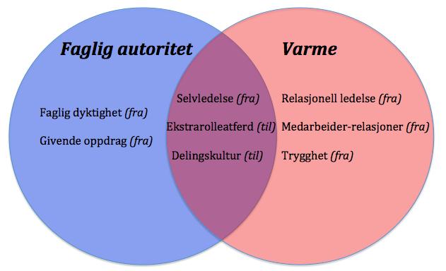 Vi har videre avdekket åtte innholdsmomenter vi mener er særlig fremtredende i arbeidsforholdet.