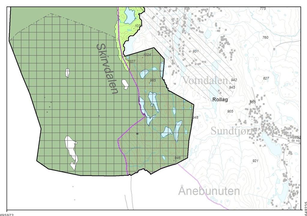 Utveksling av villrein FM: Nasjonalt villreinområde må utvides i Rollag kommune for å inkludere