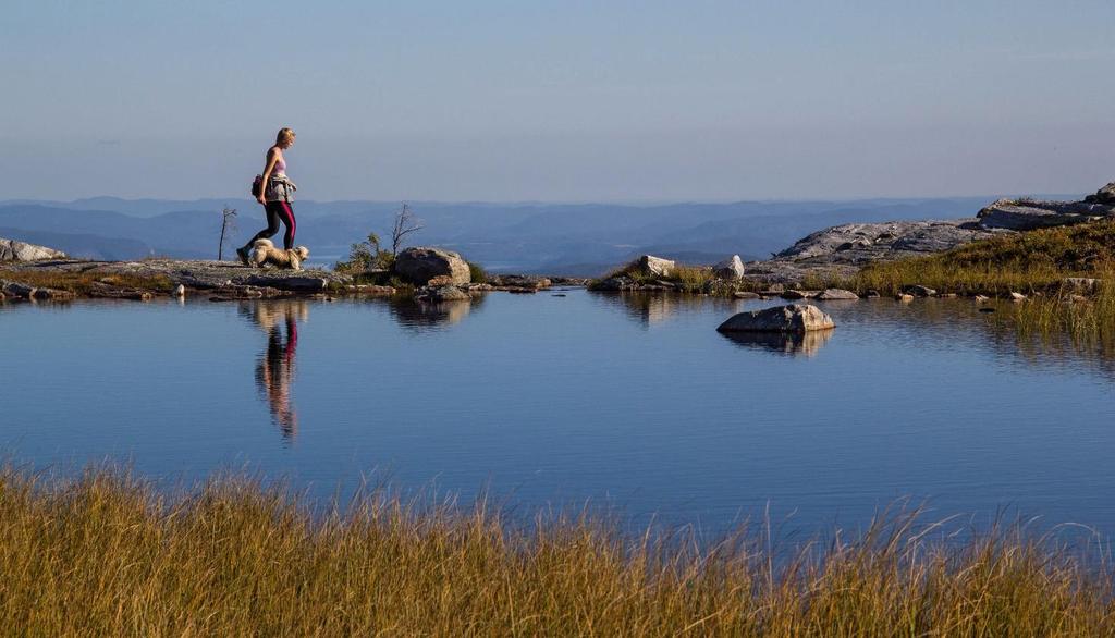 Turstiar Hovudformålet med merking av stiar i skog og fjell er å leggje til rette for at turfolk skal kjenne seg trygge i naturen og ta seg fram til turmålet og tilbake.