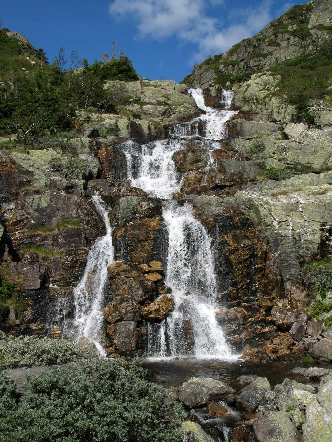 Styret i Bø Turlag Styremedlem Arne Hjeltnes (leiar) Tor Lønnestad Siri Stauch-Hansen Jarle Tyvold Øystein Akselberg 46 45 18 50 91 51 11 54 91 71 88 09 92 44 82 85 90 63 84 53 Vara Ingrid Bergane