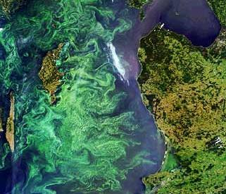 Havnivå, bølgehøyde, havtemperatur, havfarge alger, global vegetasjon Sentinel-5p (luftforurensning,