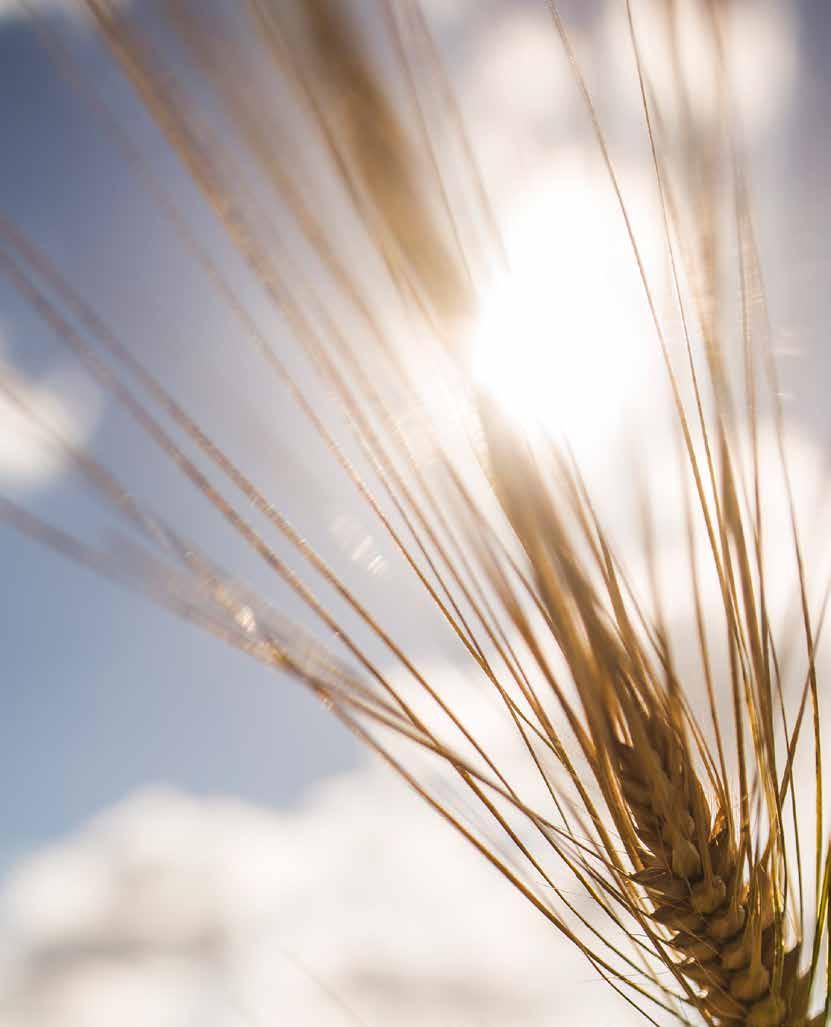 Litt om AgriAnalyse INNHOLD AgriAnalyse er en faglig premissleverandør og et kompetent utredningsmiljø i spørsmål knyttet til landbruk og politikk.