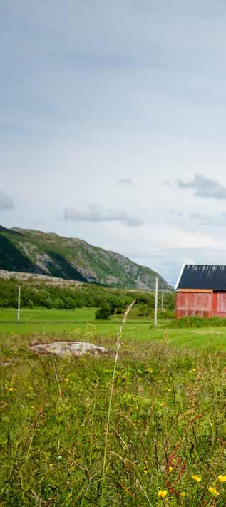 Grunnlaget for verdikjeden er bøndene. Vår spørreundersøkelse i Landbruksbarometeret med 1 228 respondenter viser stemningen blant gårdbrukerne.