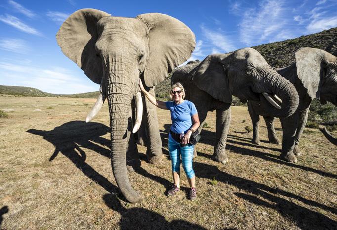 Vi kjører The Garden Route til Tsitsi kamma hvor du kan suse på zipline gjennom regnskog, og kanskje til og med hoppe