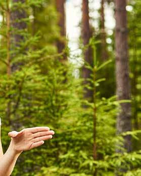 DYKTIGE LOKALE SKOGBRUKSLEDERE Viken Skog har ca. 30 skogbruksledere fordelt på 6 lokalkontorer. Skogbrukslederne har utdanning og/eller lang erfaring fra skogsektoren.