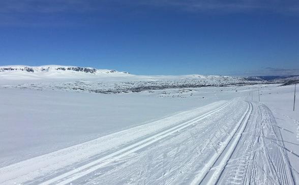 Det er ni løypeområder i Hol kommune der hver enkelt er ansvarlig for egen løypeproduksjon i henhold til driftsavtale med kommunen og kommunal sti- og løypeplan.