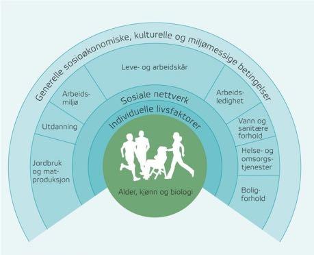 PÅVIRKNINGEN PÅ HELSA ER KOMPLEKS Det er mange faktorer som avgjør