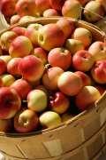 Oppgåve 4 (2 poeng) Rekn ut. a) 5 2 = c) 2 2 10 2 = b) 3,2 10 3 = d) 10 2 + 10 2 = Oppgåve 5 (1 poeng) Martin kjøper 5 kg eple og betalar 90 kr. Lotte kjøper 15 kg eple av same slag.