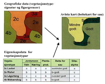 Dette kan da presenterast tilpassa den enkelte brukar sine behov framstilt som temakart eller arealstatistikkar.