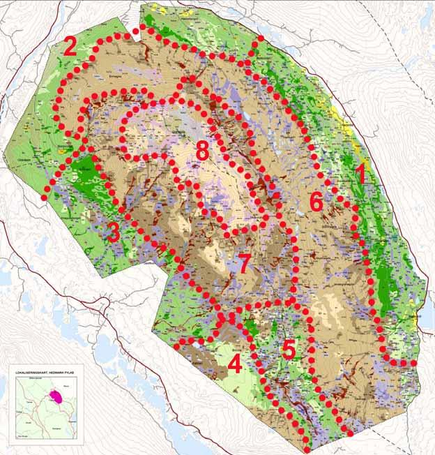 5.4 Områdevis omtale av vegetasjon og beite Nedafor følgjer ein områdevis omtale av vegetasjon og beite i kartleggingsområdet basert på observasjonar under vegetasjonskartlegging.