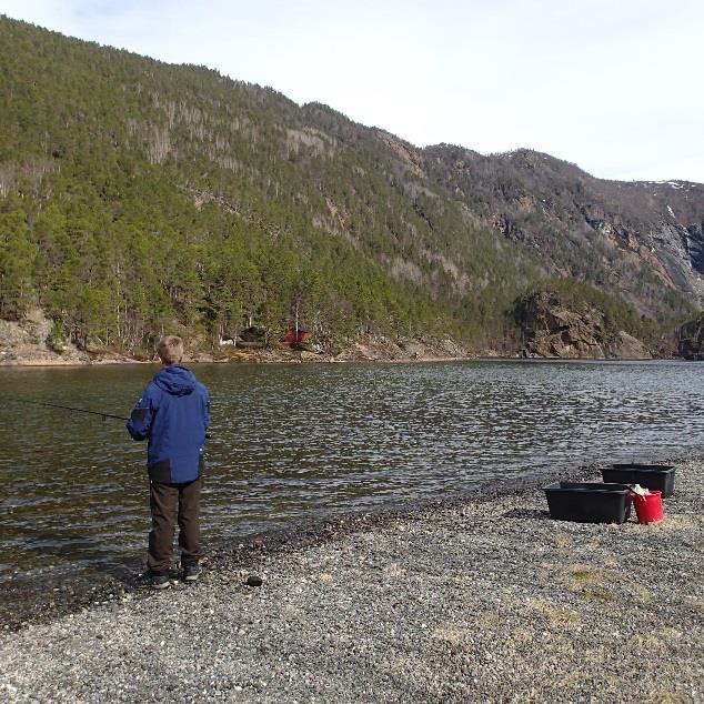 Fellefangst Oppgangsfeller i Botnvassdraget og Vassbotnvatnet.