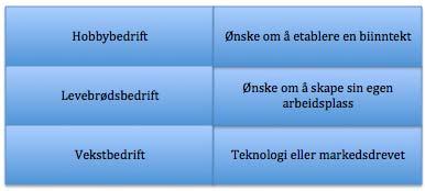 selger hjemme strikkede votter. En hobbybedrift kan også tjene inntil 50 000 kr i året uten å bli momspliktig.