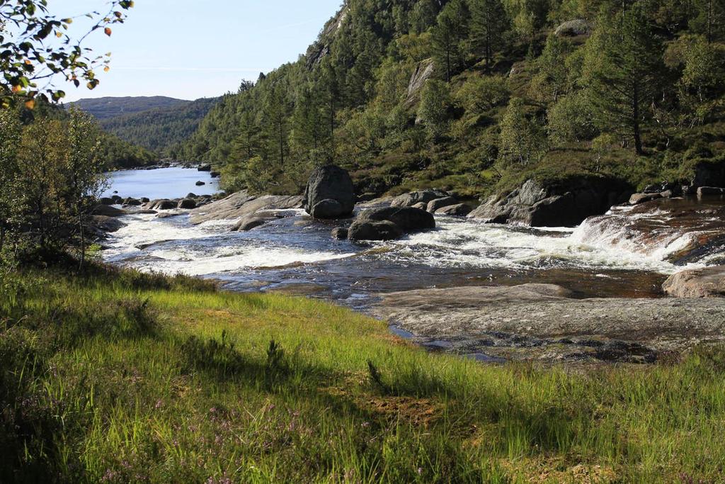 Figur 6-4 Monn mellom Fosstjønn (innsjøen kan ses på bildet i enden av elvestrekningen) og Nedre Vevatn som vil kunne befinne seg under HRV ved en eventuell hevning av eksisterende HRV på 683,6 moh i