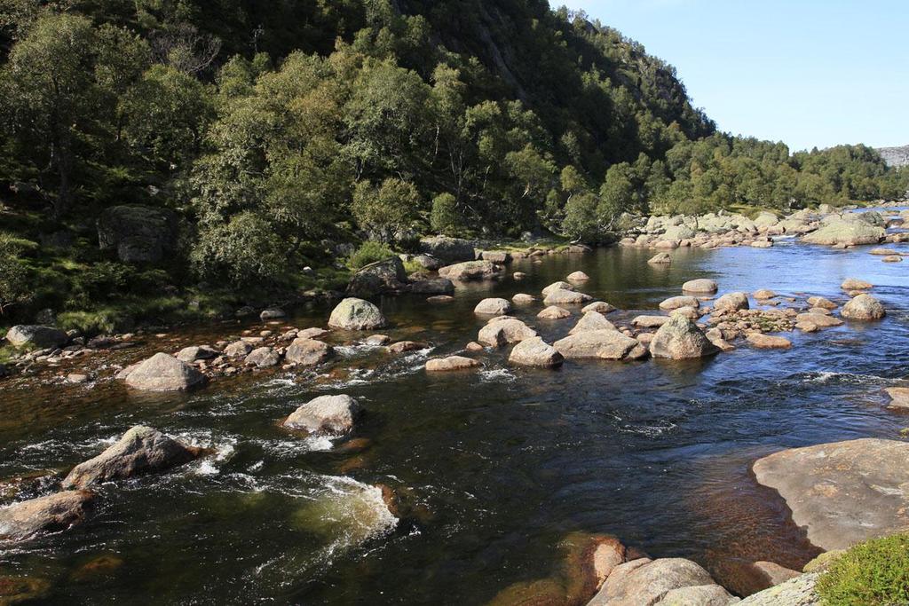 Elvestrekning nedstrøms Fosstjønn (Monn) Elvestrekningen mellom Fossjønn og Langevatn er ca 380 m når vannstanden befinner seg på HRV i Langevatn.