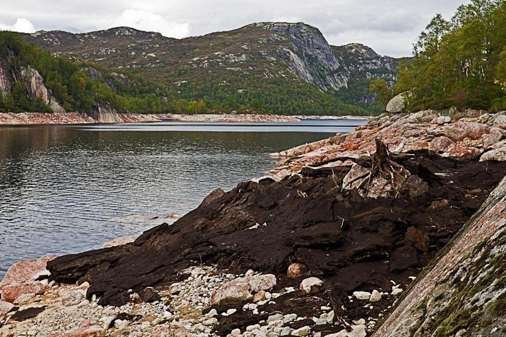 Langstølbekken - innløpselv Langevatn øst Helt i øst i Langevatn renner Langstølbekken inn i innsjøen (Figur 6-1.