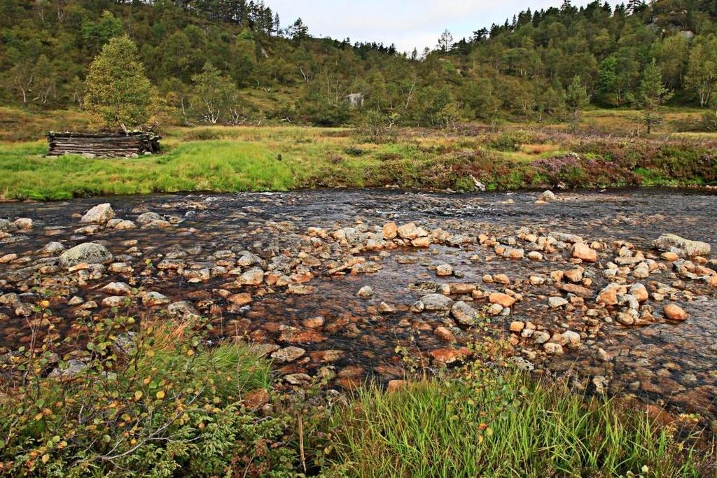 Denne delen av bekken var forholdsvis grunn (ca 25 cm) med et bunnsubstrat bestående av grus og stein. Figur 6-21.